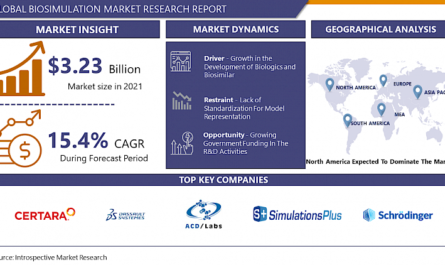 The global Biosimulation Market size was valued at USD 3.23 Billion in 2021, and is projected to reach USD 8.8 Billion by 2028, growing at a CAGR of 15.4% from 2022 to 2028. Analysis period {2023-2030}