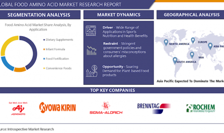 Food Amino Acid Market