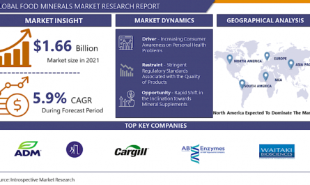 Food Minerals Market