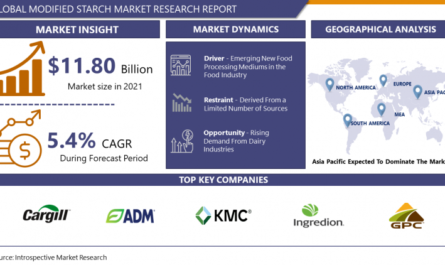 Global Modified Starch Market size is projected to reach USD 17.05 Billion by 2028 from an estimated USD 11.80 Billion in 2021, growing at a CAGR of 5.4%. Analysis period {2023-2030}