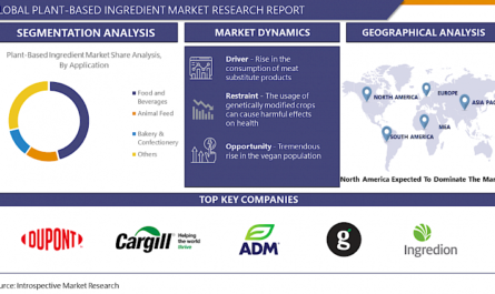 Plant-Based Ingredient Market