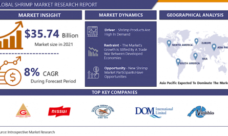 Global Shrimp Market Size Was Valued at USD 35.74 Billion in 2021, and is Projected to Reach USD 61.25 Billion by 2028, Growing at A CAGR of 8 % From 2022 to 2028. Analysis period {2023-2030}