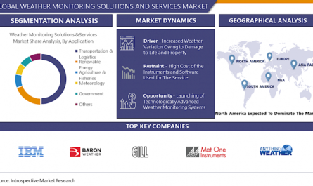 Weather Monitoring Solutions And Services Market