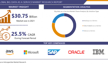 Big data as a Service Market-Overview and Outlook by Potential Growth -2023