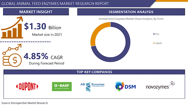Animal Feed Enzymes Market