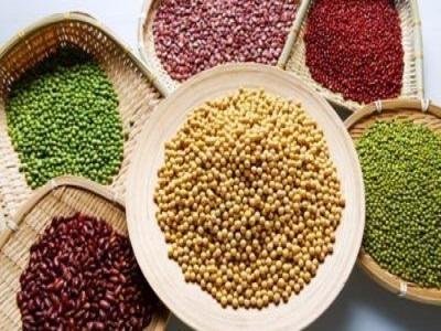 The Biological Seed Treatment Market Share, Size, Growth, Worth, Trends, Scope, Impact & Forecast till 2030