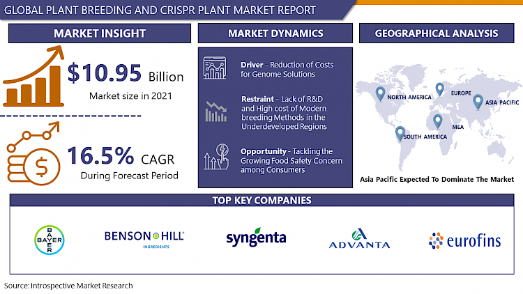Plant Breeding and CRISPR Plant Market 2023-2030 Analysis by Applications, Types & Emerging Trends           