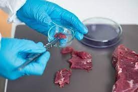 Raw Meat Speciation Testing