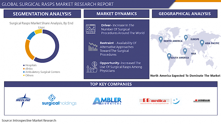 Surgical Rasps Market with Geographic Segmentation, Competitive Analysis and Statistical Forecast 2023