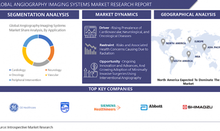 Angiography Imaging Systems Market Growth, Trends, Absolute Opportunity and Value Chain 2023-2030
