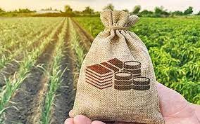 Crop Insurance Market Industry Analysis, Key Vendors, Opportunity and Forecast To 2030