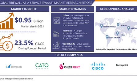 FireWall as a Service (FWaaS) Market- In-Depth Analysis by Size-2023